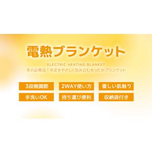 ホットマット 湯たんぽ 電気ホットカーペット ...の詳細画像5