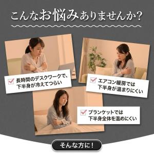 ホットクッション ヒータークッション ヒーター...の詳細画像1