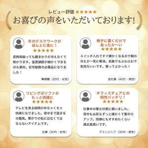 ホットクッション ヒータークッション ヒーター...の詳細画像3