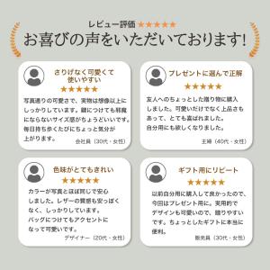 キーホルダー 馬と蹄鉄のキーホルダー 縁起の良...の詳細画像3