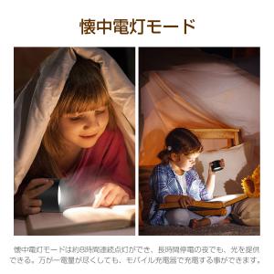 ライト LEDライト ブラケットライト スポッ...の詳細画像5