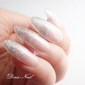 ジェルネイルチップ シルバーラメグラデーション つけ爪 El3 Dinaネイル 通販 Yahoo ショッピング