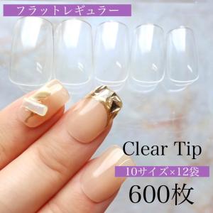 AN71 500枚入り クリアチップ【バレリーナ】クリアネイルチップ メール