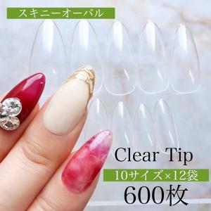専用品ネイルチップ nailtip-z406.jpg?fitin=720:720