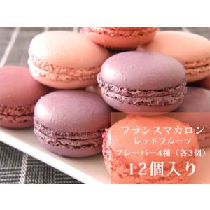 マカロン　レッドフルーツアソート　フランス産 　12g×12個