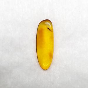 美品 虫入り琥珀 琥珀 化石 本物 バルト海産 ケース付き 21.5mm プレゼント ギフト ab116