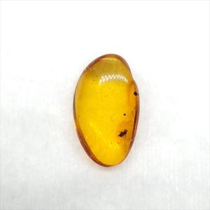 美品 虫入り琥珀 琥珀 化石 本物 バルト海産 ケース付き 11.90mm