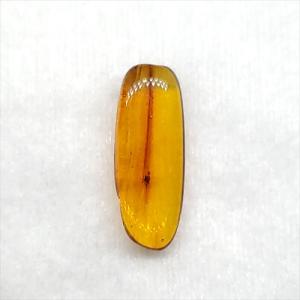 美品 虫入り琥珀 琥珀 化石 本物 バルト海産 ケース付き 11.90mm