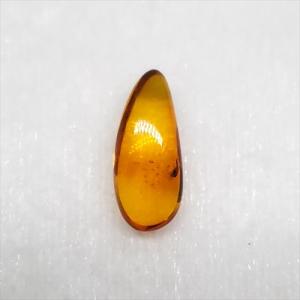美品 虫入り琥珀 琥珀 化石 本物 バルト海産 ケース付き 11.90mm