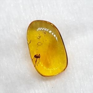 美品 虫入り琥珀 琥珀 化石 本物 バルト海産...の詳細画像1