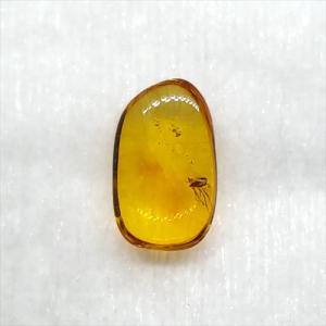 美品 虫入り琥珀 琥珀 化石 本物 バルト海産...の詳細画像2