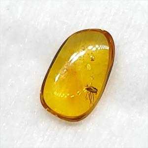 美品 虫入り琥珀 琥珀 化石 本物 バルト海産...の詳細画像3
