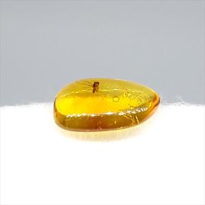 美品 虫入り琥珀 琥珀 化石 本物 バルト海産...の詳細画像4