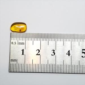 美品 虫入り琥珀 琥珀 化石 本物 バルト海産...の詳細画像5