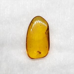 琥珀① 美品 虫入り琥珀 琥珀 化石 本物 バルト海産 ケース付き 11.90mm