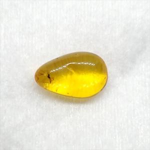 美品 虫入り琥珀 琥珀 化石 本物 バルト海産 ケース付き 10.30mm