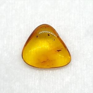 美品 虫入り琥珀 琥珀 化石 本物 バルト海産 ケース付き 9.17mm