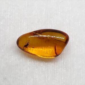 【海】超レア　蜘蛛と小蝿　虫入り 琥珀 化石 本物 バルト海産　30mm  美品 美品 虫入り琥珀 琥珀 化石 本物 バルト海産 ケース付き 10.30mm