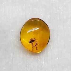 美品 虫入り琥珀 琥珀 化石 本物 バルト海産 ケース付き 11.90mm