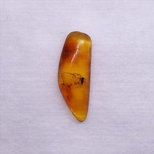 美品 虫入り琥珀 琥珀 化石 本物 バルト海産 ケース付き 11.90mm