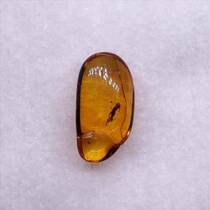 美品 虫入り琥珀 琥珀 化石 本物 バルト海産 ケース付き 11.90mm