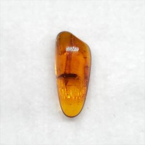 希少 グラレーター 恐竜 足跡 化石 本物 フランス産 430mm プレゼント