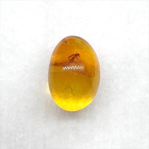 美品 虫入り琥珀 琥珀 化石 本物 バルト海産 ケース付き 11.90mm