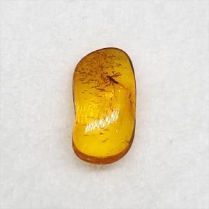 美品 虫入り琥珀 琥珀 化石 本物 バルト海産 ケース付き 11.90mm