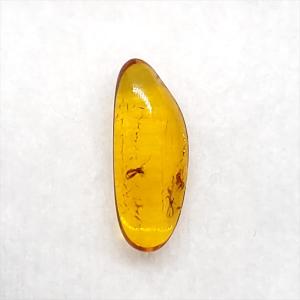 希少 恐竜 卵 化石 本物 フランス産 200mm プレゼント ギフト eb1