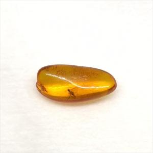 美品 虫入り琥珀 琥珀 化石 本物 バルト海産 ...の商品画像