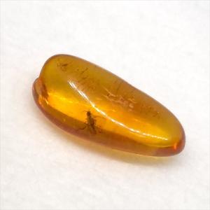 美品 虫入り琥珀 琥珀 化石 本物 バルト海産...の詳細画像1