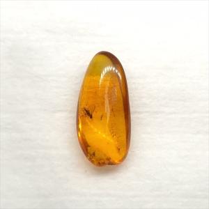 美品 虫入り琥珀 琥珀 化石 本物 バルト海産...の詳細画像2