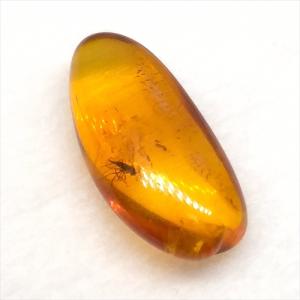美品 虫入り琥珀 琥珀 化石 本物 バルト海産...の詳細画像3