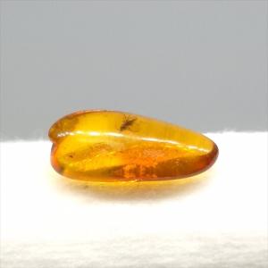 美品 虫入り琥珀 琥珀 化石 本物 バルト海産...の詳細画像4