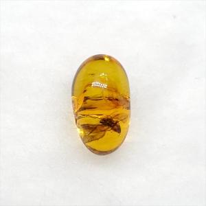 美品 虫入り琥珀 琥珀 化石 本物 バルト海産 ケース付き 11.90mm