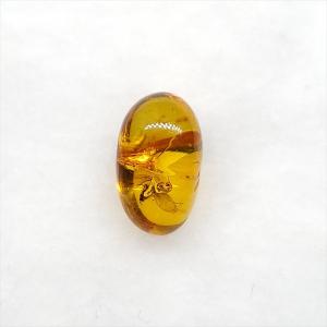 美品 虫入り琥珀 琥珀 化石 本物 バルト海産...の詳細画像1