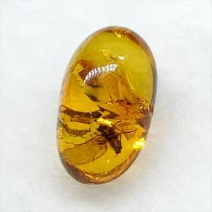 美品 虫入り琥珀 琥珀 化石 本物 バルト海産...の詳細画像2