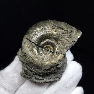 遊色 アンモナイト レインボー 化石 本物 マダガスカル産 37.37mm