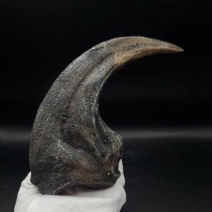 アロサウルス 爪 化石 レプリカ 約177.88mm プレゼント ギフト arr18