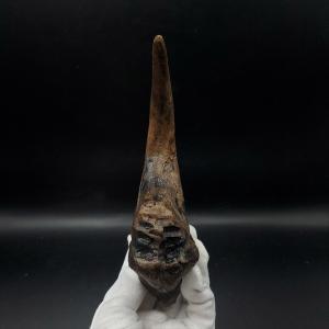 アロサウルス 爪 化石 レプリカ 約176.6...の詳細画像2
