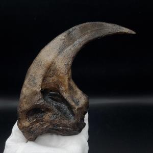 アロサウルス 爪 化石 レプリカ 約177.88mm プレゼント ギフト arr18