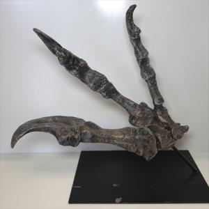 アロサウルス 爪 化石 レプリカ 約 380mm...の商品画像