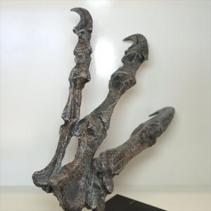 アロサウルス 爪 化石 レプリカ 約 380m...の詳細画像4