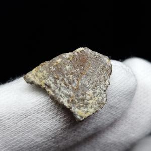 希少 恐竜 卵 化石 本物 フランス産 200mm プレゼント ギフト eb1