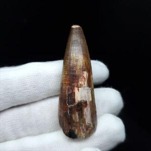 巨大ワニ サルコスクス 歯 本物 化石 恐竜 ニジェール産 75.87mm