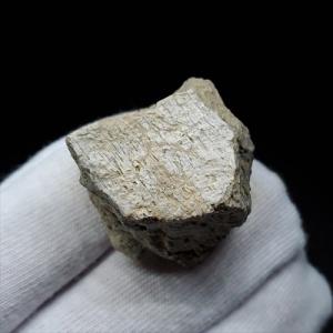 卵の化石 殻付き 母岩付き 卵の化石 殻付き 母岩付き