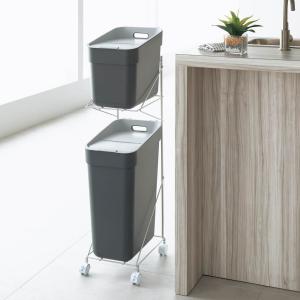 dinos（ディノス） ステンレス製ダストボックスワゴン 2分別タイプ