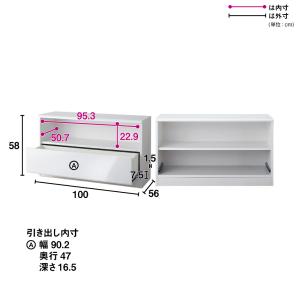 ≪幅100奥行56高さ58cm≫ クローゼット...の詳細画像2