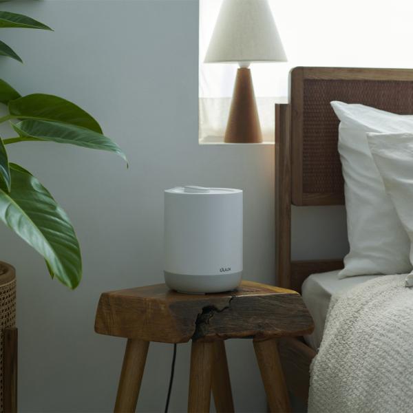 DUUX（デュクス） スチーム式加湿器ミニ 季節家電 生活家電 加湿器 610571