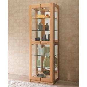 コレクションケースディスプレイケース ブラウン 塩川光明堂